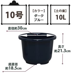 SE中鉢 ダークブルー 10号