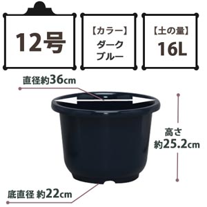 SE中鉢 ダークブルー 12号