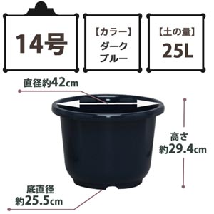 SE中鉢 ダークブルー 14号