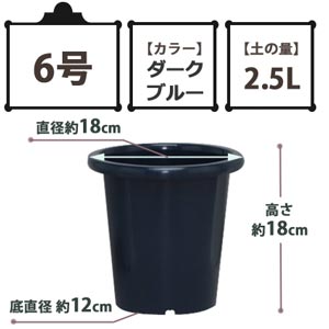 SEケンガイ鉢 ダークブルー 6号