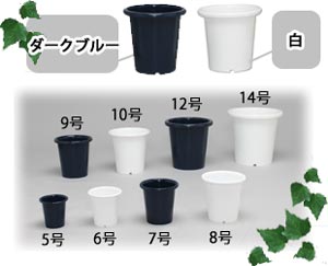 SEケンガイ鉢 白 8号