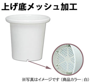 SEケンガイ鉢 白 9号