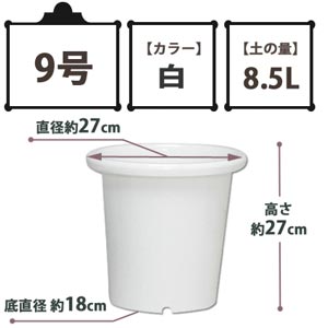 SEケンガイ鉢 白 9号