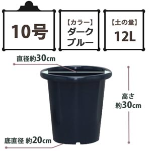 SEケンガイ鉢 ダークブルー 10号