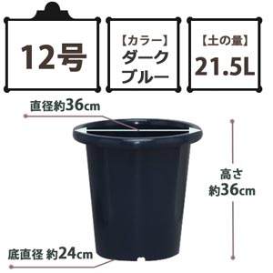 SEケンガイ鉢 ダークブルー 12号