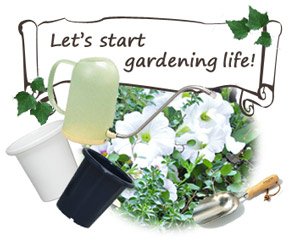 SEケンガイ鉢 ダークブルー 14号