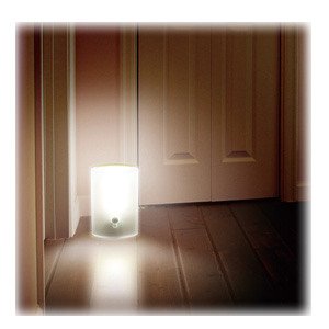 アイリスオーヤマ 乾電池式LEDセンサーライト BSL-05W