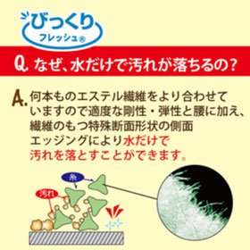 サンコー 柄付きバススポンジ びっくりフレッシュ バス床洗い