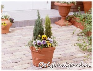 バレンシアポット ブラウン 15号