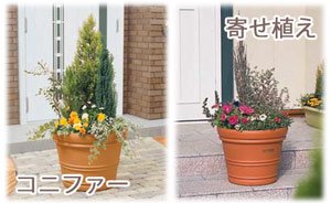 バレンシアポット ブラウン 15号