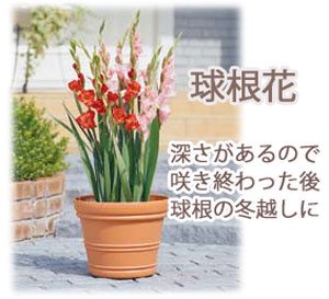 バレンシアポット ブラウン 15号