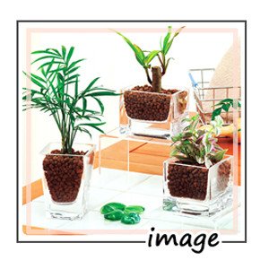  園芸用焼成ゼオライト 100g