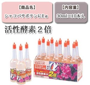 シャコバサボテンにEα
