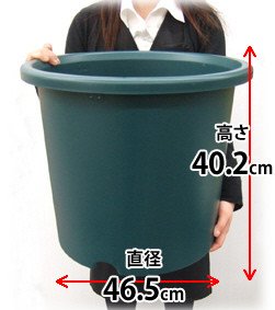 アイリスオーヤマ ディーポット ハンターグリーン 14号