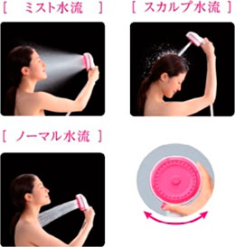 エステシャワープロ フェイス