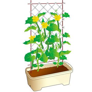 アイリスオーヤマ キュウリ・つる植物支柱セット ダークブラウン SSK-1・2