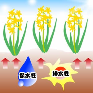 アイリスオーヤマ かるい粒状配合培養土 14L