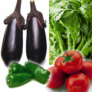 アイリスオーヤマ かるい粒状配合培養土 14L