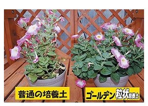 アイリスオーヤマ ゴールデン粒状配合グリーンカーテンの培養土 25L