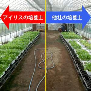 アイリスオーヤマ 粒状配合 かる~い捨てられる培養土 25L