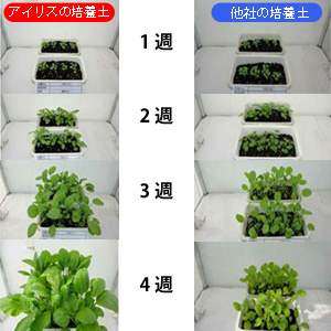 アイリスオーヤマ 粒状配合 かる~い捨てられる培養土 25L