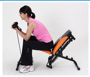 ALINCO(アルインコ)マルチアームジムG3100