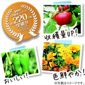 植物用万田酵素ストレートタイプ 900cc