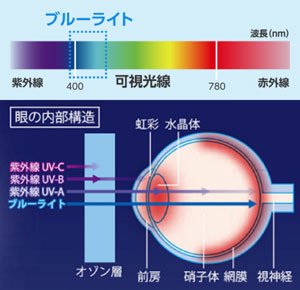 ルミナス ブルーライトカット LED電球 直下重視タイプ 40W相当 昼白色 619lm 口金E26 密閉器具対応 LBCA40N-H