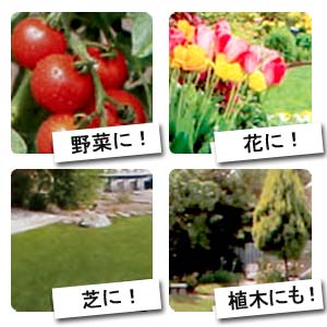 植物用万田酵素シャワータイプ 2L