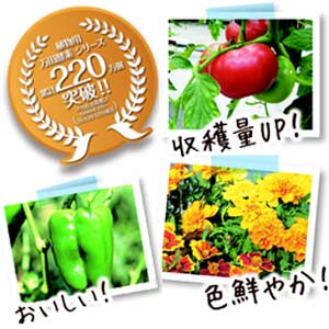 植物用万田酵素シャワータイプ 2L