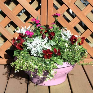 レリーフボールプランター　360　ピンク26