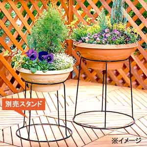 レリーフボールプランター　360　ピンク26