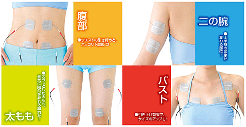 Ems理論に基づいたフィットネスマシン 東レ トレリート