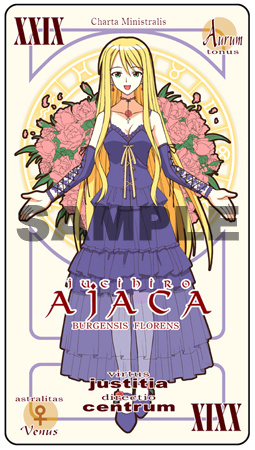 DVD付き 初回限定版 魔法先生ネギま! (35) (講談社キャラクターズA