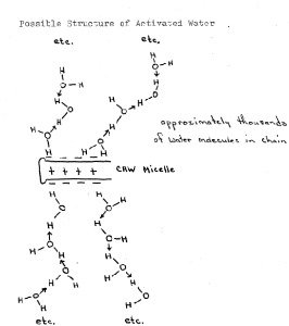 “ウィラード・ウォーター”発見のルーツ