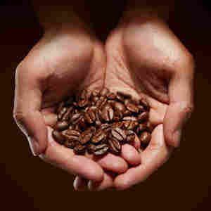 世界で初めて発見＊。<br noproxy><br>「コーヒークロロゲン酸」の脂肪低減メカニズム。<br>