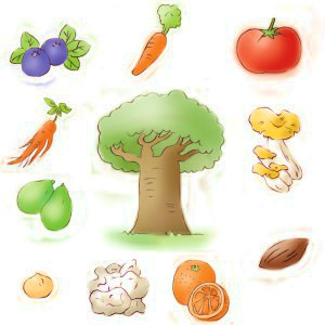 選び抜かれた食品由来原料から誕生