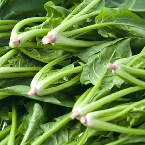 ホウレンソウや大豆から作った天然の鉄サプリメント