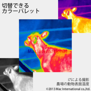 診断を加速するカラーパレット