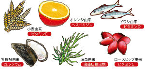 ありそうでなかなかない、自然素材にこだわりました。