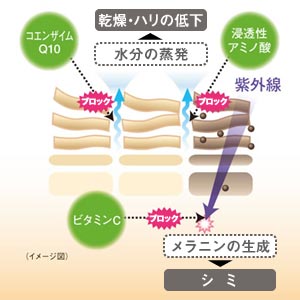 トータルなエイジングケアに最適なルシードスキンケア