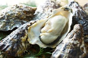 「広島産牡蠣」から抽出したカキエキスを配合！
