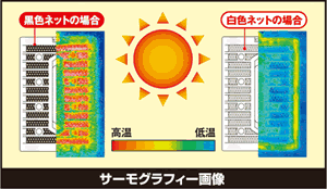 Effect up in the energy, "solar power" of the sun!