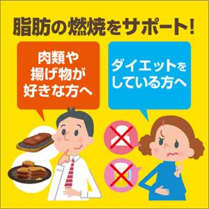 脂肪の燃焼をサポート！