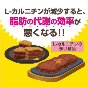 L-カルニチンとは