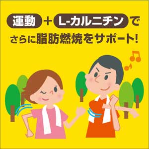 L-カルニチンと基礎代謝の関係