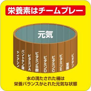 1粒で12種類のビタミンがたっぷり摂取できます<br>