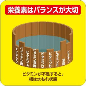 栄養素のバランスが悪いと水漏れ状態