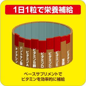 マルチビタミンで効率的に栄養補給<br>