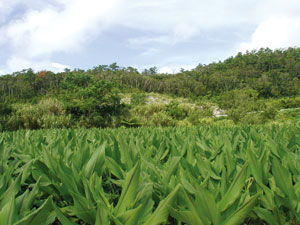 品質を損ないにくい殺菌方法HTST製法採用